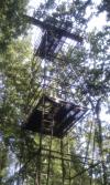 Mirador