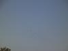 migration 2012