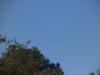 migration 2012