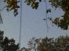 migration 2012