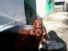 confinement canins