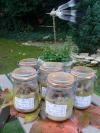 Confit de Palombes
