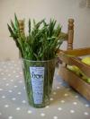 Asperges sauvages