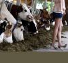 Paysanne sans ses bottes!