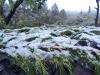 Neige le 28/10