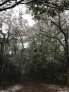 Neige le 28/10