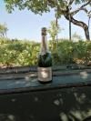 Champagne