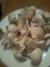 CHAMPIGNON