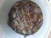 palombe