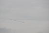 vol de grues