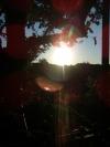 samedi matin