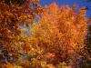 Belles couleurs