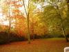 Couleurs d automne