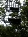 Plancher de cabane