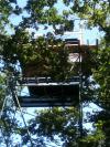 Montage palombiere