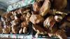 quelques cepes