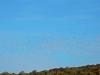 Ciel bleu de palombes