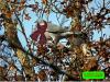 LA GRIPPE AVIAIRE FRAPPE LE SUD OUEST