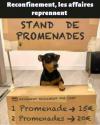 Un peu d’humour