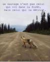 A bon entendeur