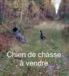 Merci le confinement