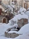 Neige