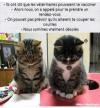 Vaccination