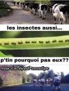 Marre des cyclistes !!!!