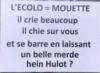 L’ecolo