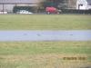 canard