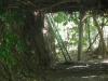 notre petit paradis