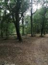 CABANNE