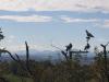 Montagnes claires