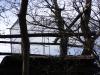 cage sur arbre