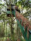 Cabane
