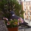 Retour au nid le 2 sept 2013
