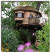 Cabane au toit de chaume !!!