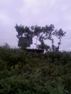 poste de guet suite