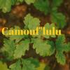 Camouf'lulu