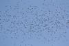 migration du 21/10/2016