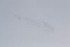 migration du 05/11/2020