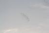 migration du 05/11/2020