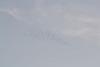 migration du 05/11/2020