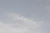 migration du 05/11/2020