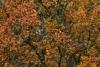 Couleurs d'automne.