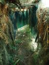Hivernantes 3