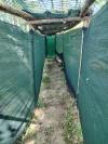 Dernière cabane 2