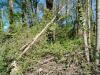 Cabane hivernantes