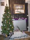 sapin sparnacien