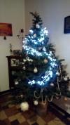 Le sapin de Lulu